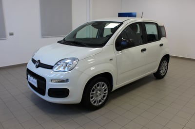 Fiat Panda Cross Cross 1.0 FireFly S&S Hybrid nuova