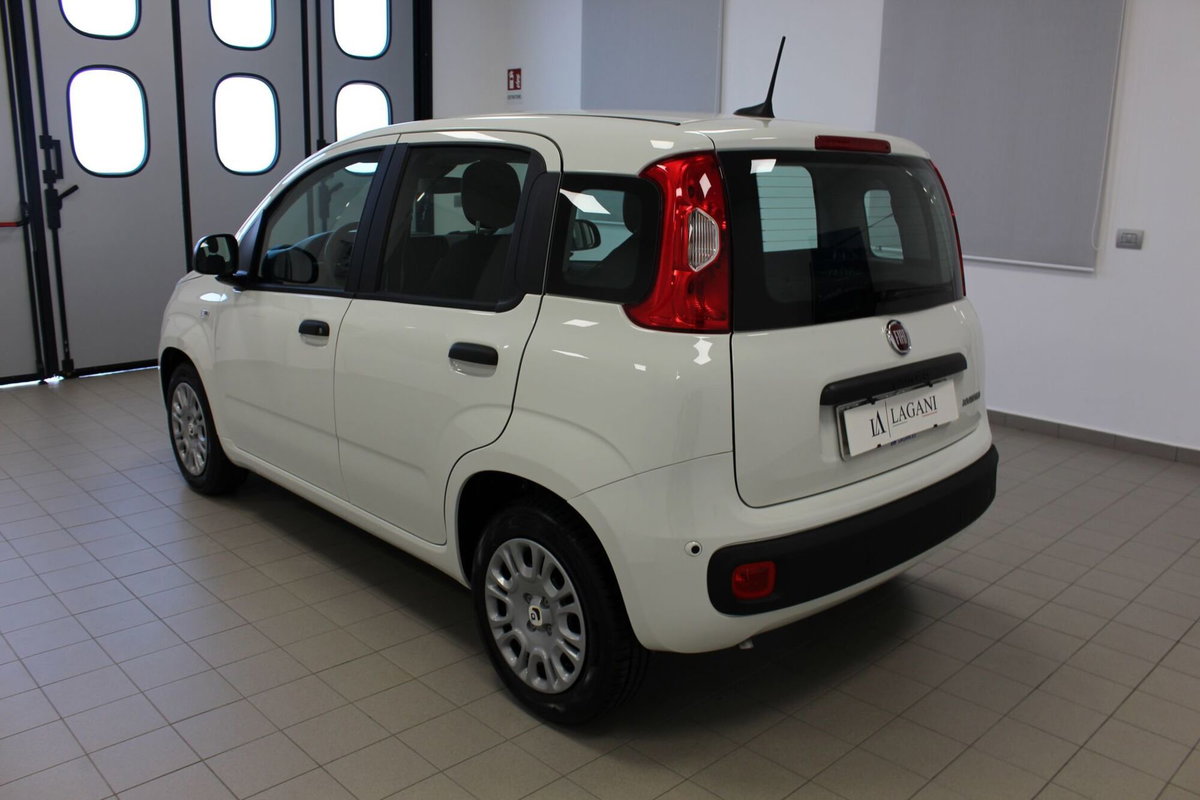 Fiat Panda Cross Cross 1.0 FireFly S&S Hybrid (6)