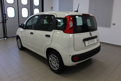 Fiat Panda Cross Cross 1.0 FireFly S&S Hybrid (6)