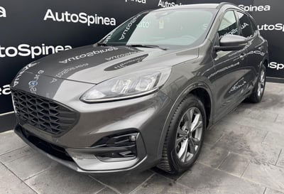 Ford Kuga 2.0 EcoBlue 120 CV aut. 2WD ST-Line X usata