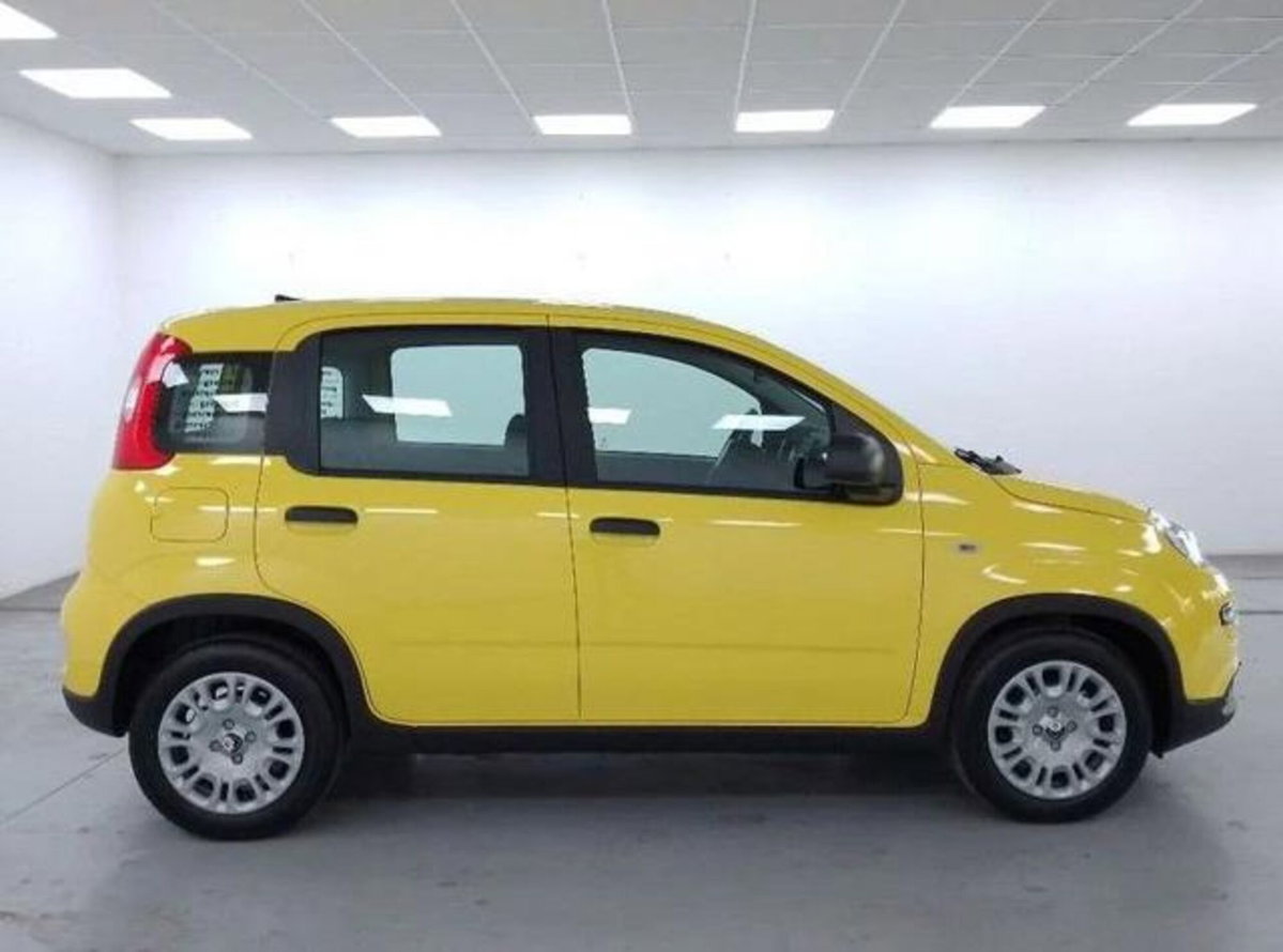 Fiat Panda 1.0 firefly hybrid s&s 70cv 5p.ti (7)