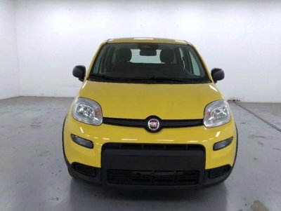Fiat Panda 1.0 firefly hybrid s&s 70cv 5p.ti (8)