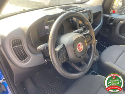Fiat Panda 1.0 firefly hybrid s&s 70cv 5p.ti (8)