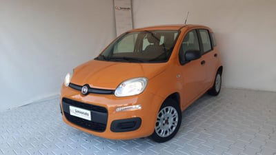 Fiat Panda 1.2 Easy usata