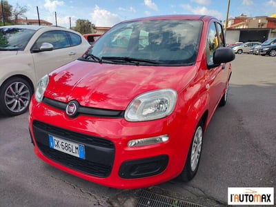 Fiat Panda 1.0 firefly hybrid Pop s&s 70cv usata