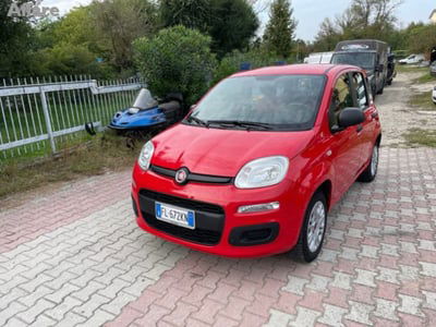 Fiat Panda 1.2 Easy usata