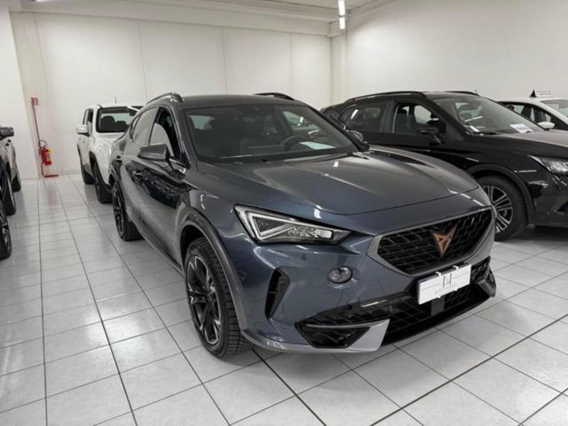 Cupra Formentor Formentor 2.0 tdi 4drive 150cv dsg