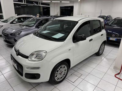 Fiat Panda 1.2 Easy usata