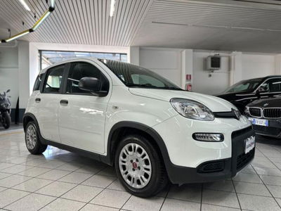 Fiat Panda 1.0 firefly hybrid s&s 70cv 5p.ti usata