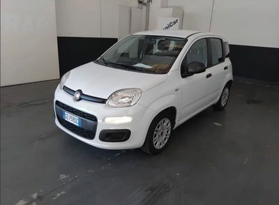 Fiat Panda Cross Cross 1.0 FireFly S&S Hybrid usata