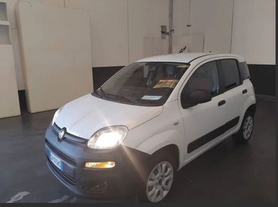 Fiat Panda 0.9 TwinAir Turbo S&S 4x4 Pop Van 2 posti usata