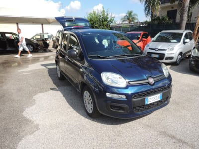 Fiat Panda 1.2 Easy usata