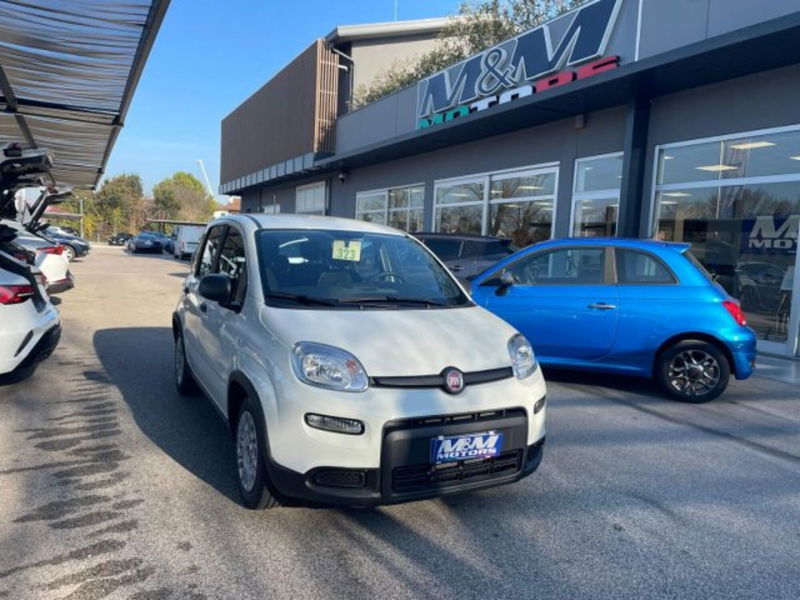 Fiat Panda 1.0 firefly hybrid s&s 70cv 5p.ti