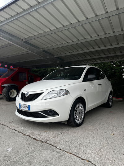 Lancia Ypsilon 1.3 MJT 16V 95 CV 5 porte S&S Gold usata