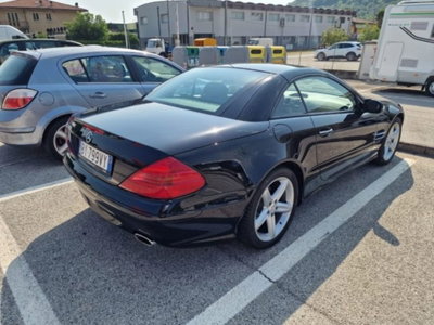 Mercedes-Benz SL 500 cat (2)