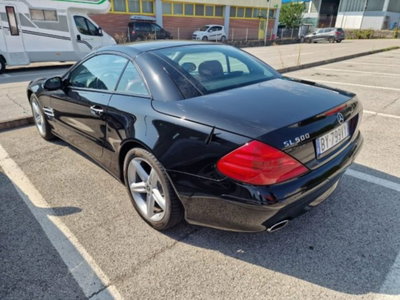 Mercedes-Benz SL 500 cat (3)