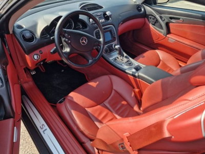 Mercedes-Benz SL 500 cat (4)