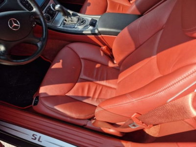 Mercedes-Benz SL 500 cat (5)