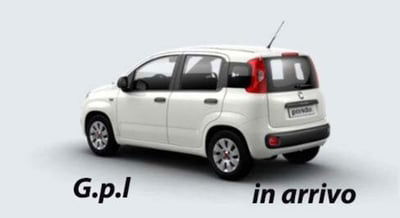 Fiat Panda 1.2 Easy usata