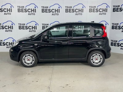 Fiat Panda 1.0 firefly hybrid s&s 70cv (3)