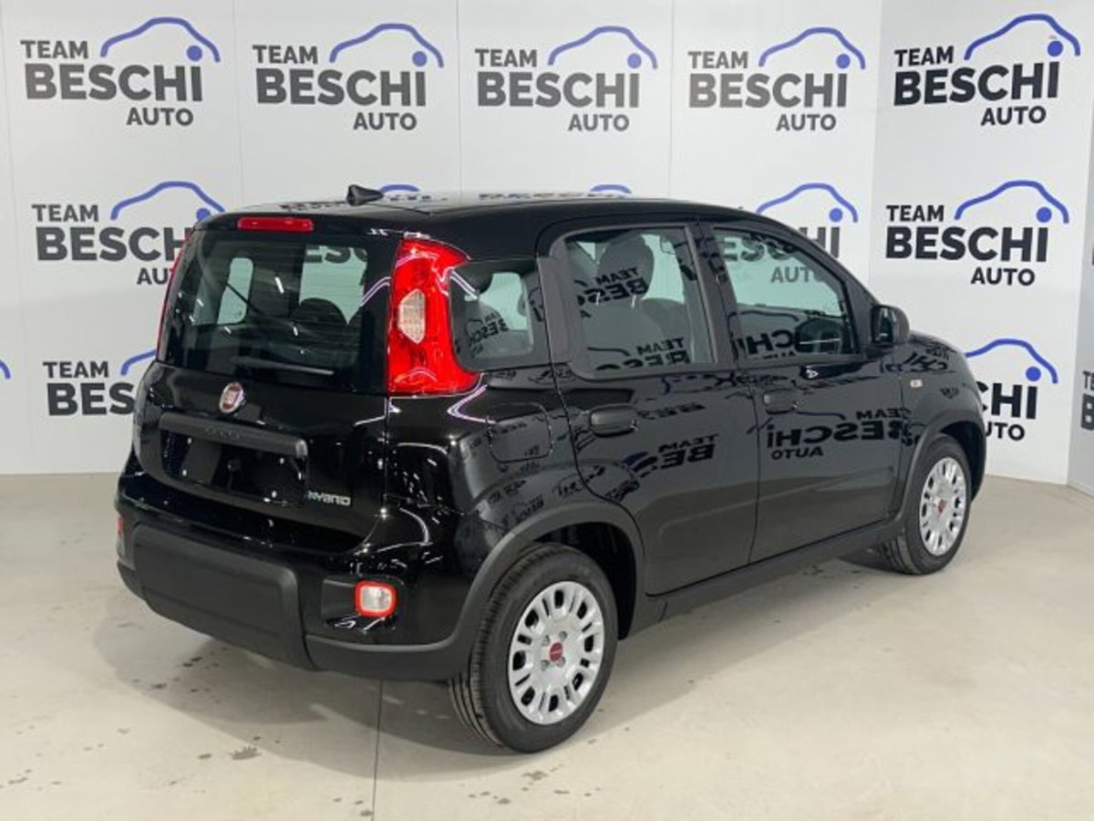 Fiat Panda 1.0 firefly hybrid s&s 70cv (4)