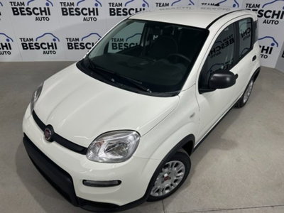 Fiat Panda 1.0 firefly hybrid s&s 70cv 5p.ti (2)