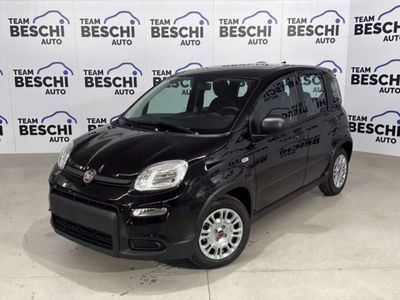 Fiat Panda 1.0 firefly hybrid s&s 70cv 5p.ti usata
