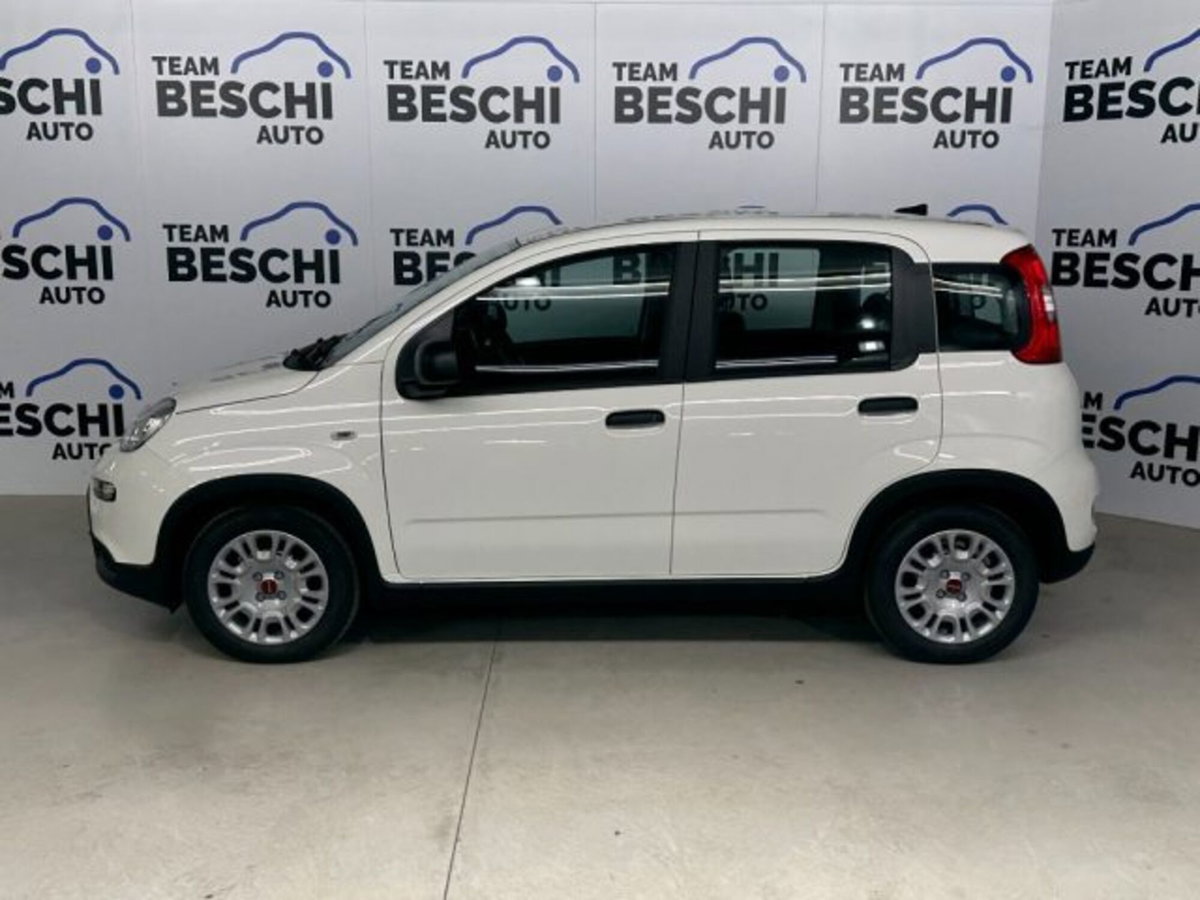 Fiat Panda 1.0 firefly hybrid s&s 70cv 5p.ti (3)