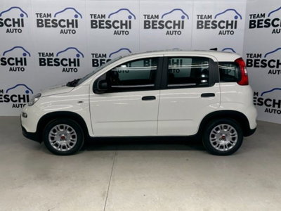 Fiat Panda 1.0 firefly hybrid s&s 70cv 5p.ti (3)