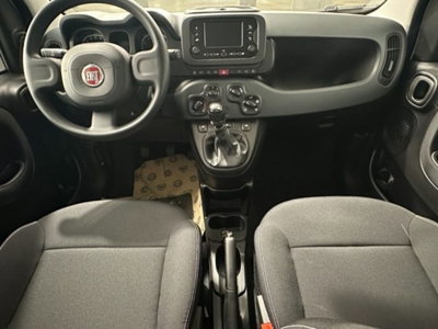 Fiat Panda 1.0 firefly hybrid s&s 70cv 5p.ti (8)
