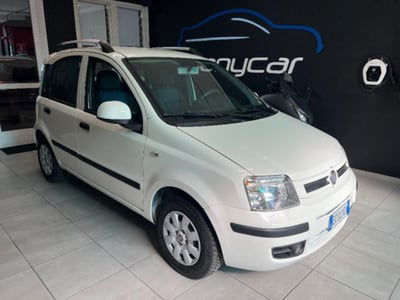 Fiat Panda 1.2 Dynamic GPL usata