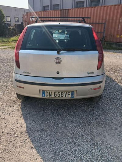 Fiat Punto Classic 1.2 5 porte Natural Power Active usata