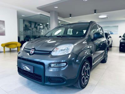 Fiat Panda 1.0 FireFly S&S Hybrid usata