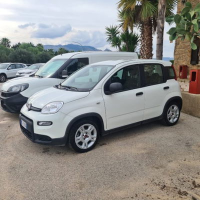 Fiat Panda 1.0 firefly hybrid s&s 70cv 5p.ti usata