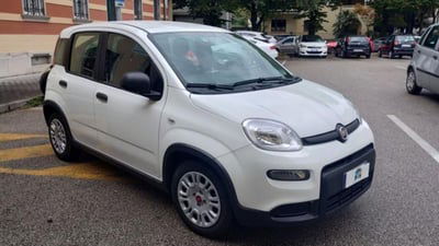 Fiat Panda 1.0 firefly hybrid s&s 70cv 5p.ti usata