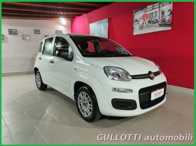 Fiat Panda 1.2 Easy usata