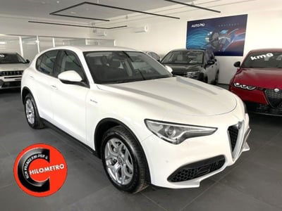 Alfa Romeo Stelvio Stelvio 2.2 Turbodiesel 160 CV AT8 RWD Super Business usata