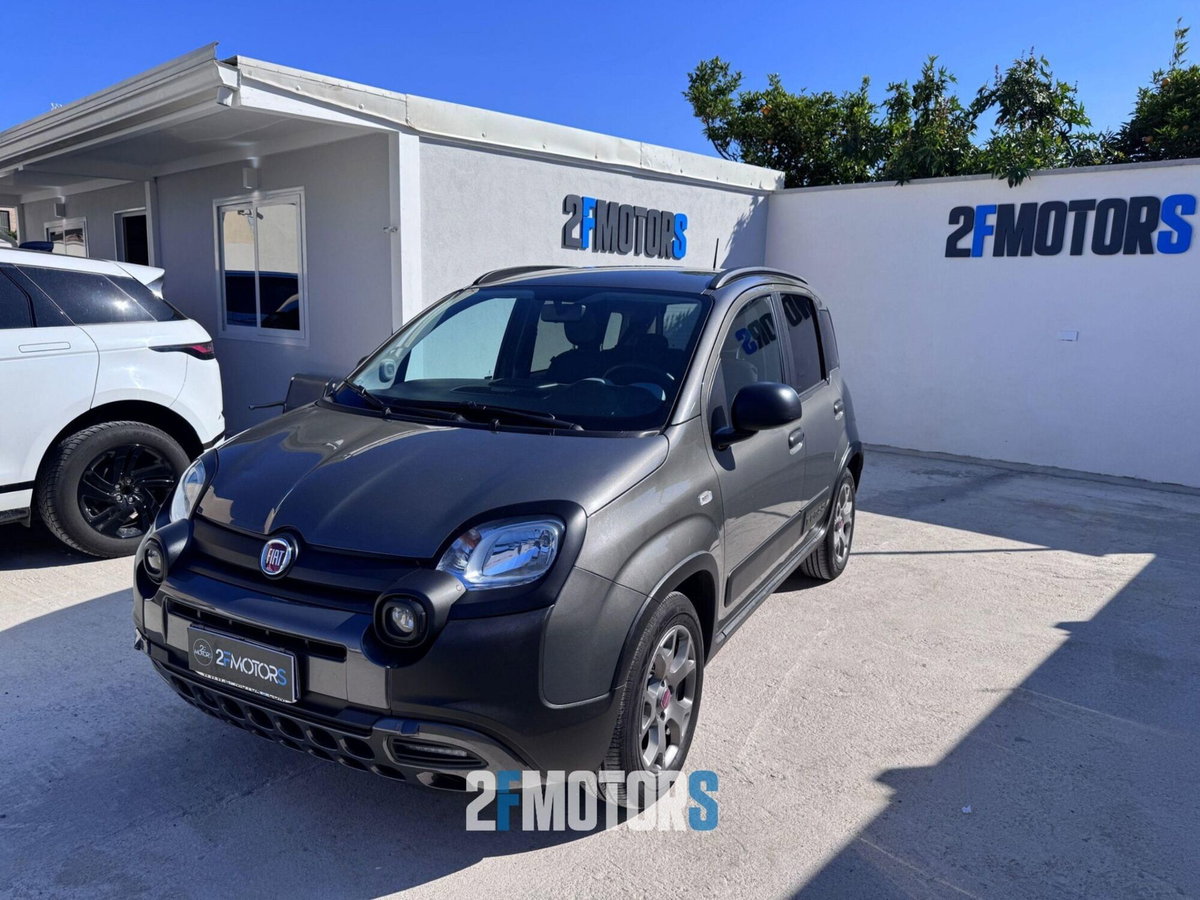 Fiat Panda 1.0 FireFly S&S Hybrid City Cross (2)