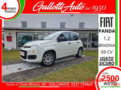 Fiat Panda 1.2 Easy usata