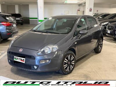 Fiat Punto 1.2 8V 5 porte Young usata