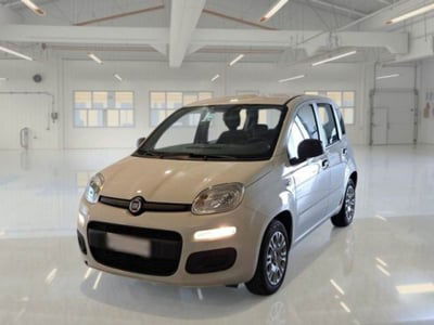 Fiat Panda 1.2 Easy usata