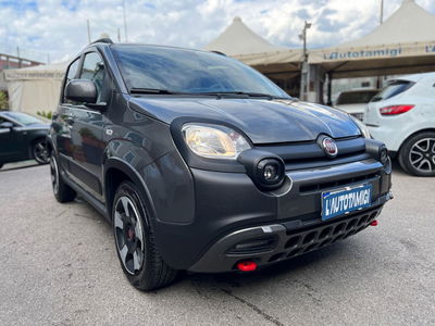 Fiat Panda Cross Cross 1.0 FireFly S&S Hybrid usata