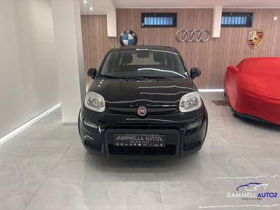 Fiat Panda 1.2 EasyPower Sport usata