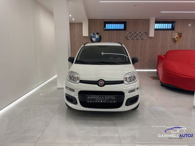 Fiat Panda 1.2 EasyPower Easy usata