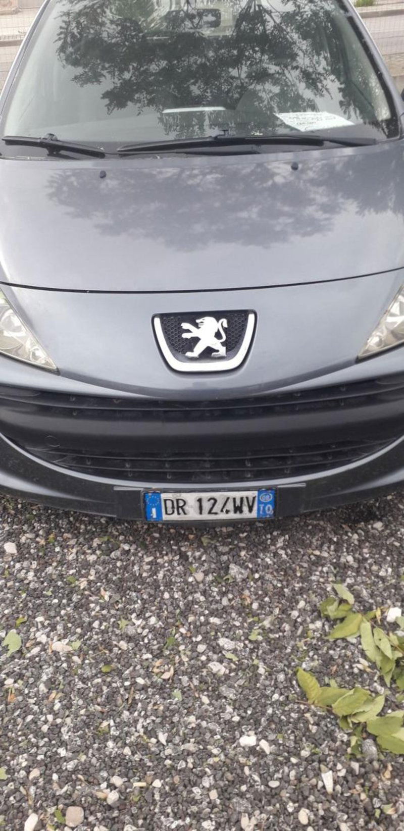 Peugeot 207 8V 75CV 5p. Energie Sport ECO GPL