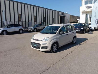 Fiat Panda 1.2 Easy usata