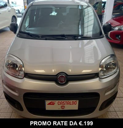 Fiat Panda 1.2 Easy usata
