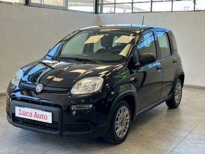 Fiat Panda 1.0 firefly hybrid s&s 70cv 5p.ti usata