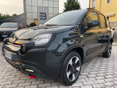Fiat Panda 1.0 FireFly S&S Hybrid City Cross usata