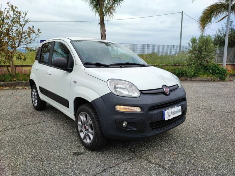 Fiat Panda 1.3 MJT 4x4 Pop Van 2 posti